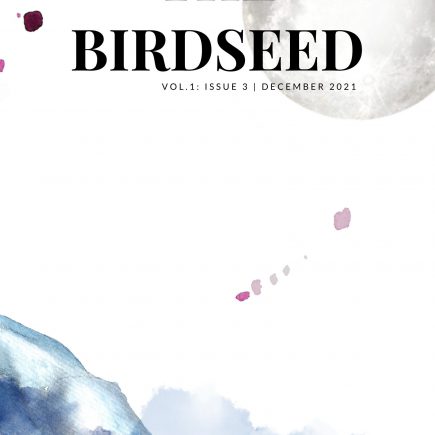 A sparse cover with watercoloured patches. "The Birdseed: Vol 1: Issue 3 | December 2021."