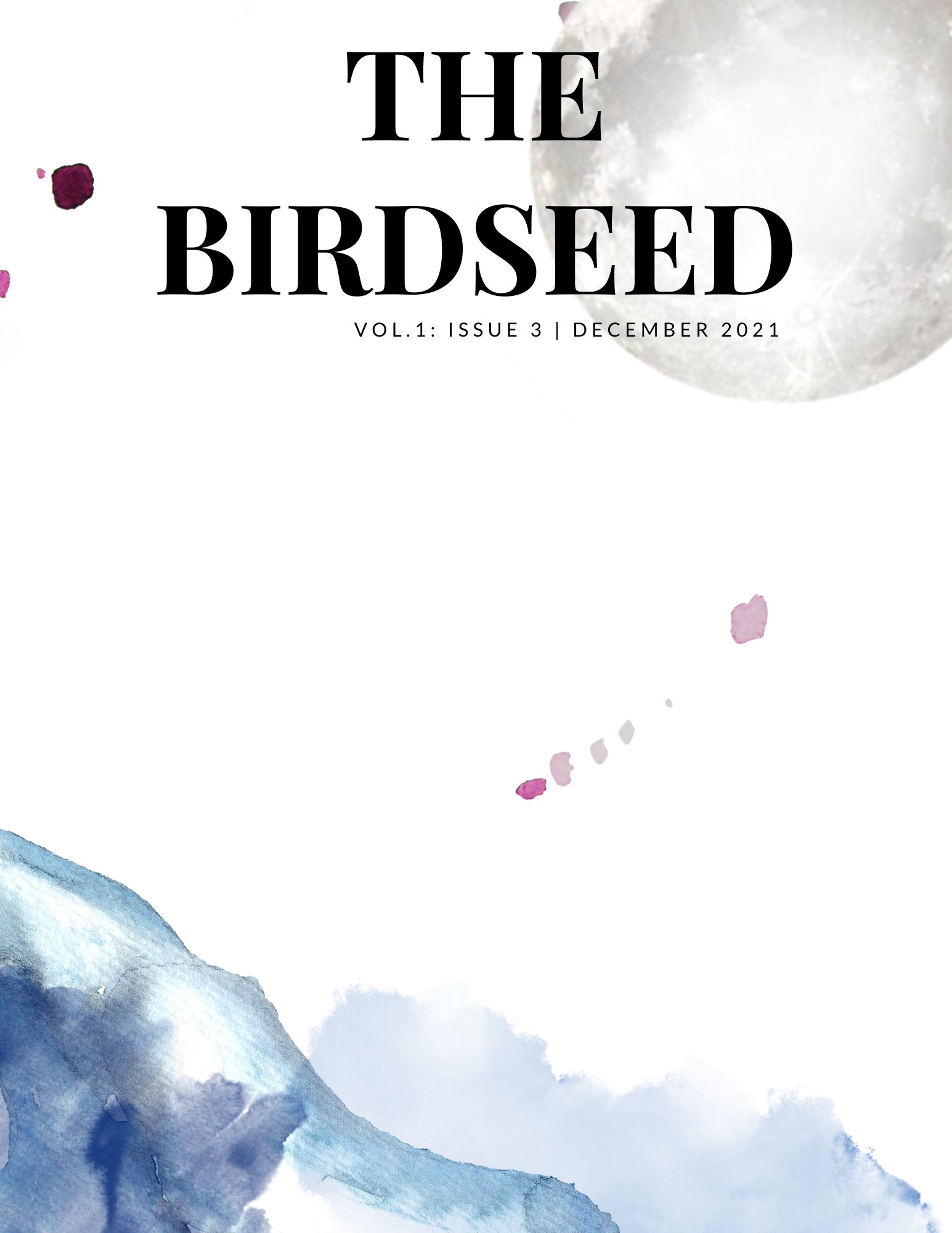 A sparse cover with watercoloured patches. "The Birdseed: Vol 1: Issue 3 | December 2021."